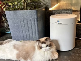 生活美健类产品